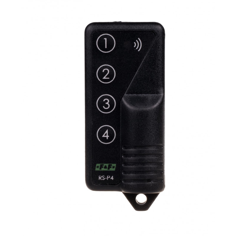 ford rs remote control car