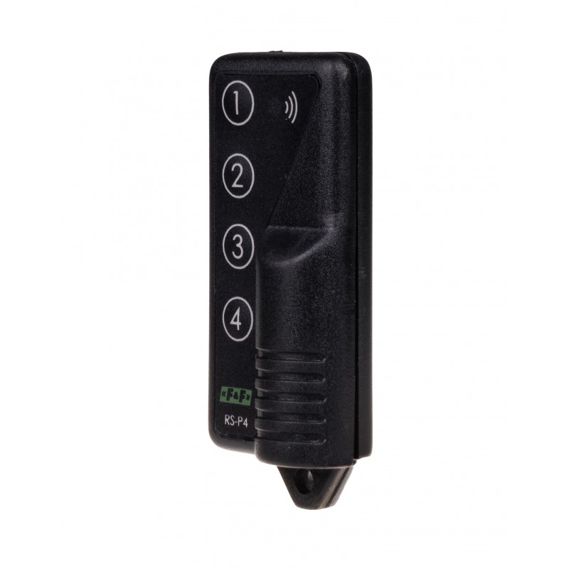 ford rs remote control car