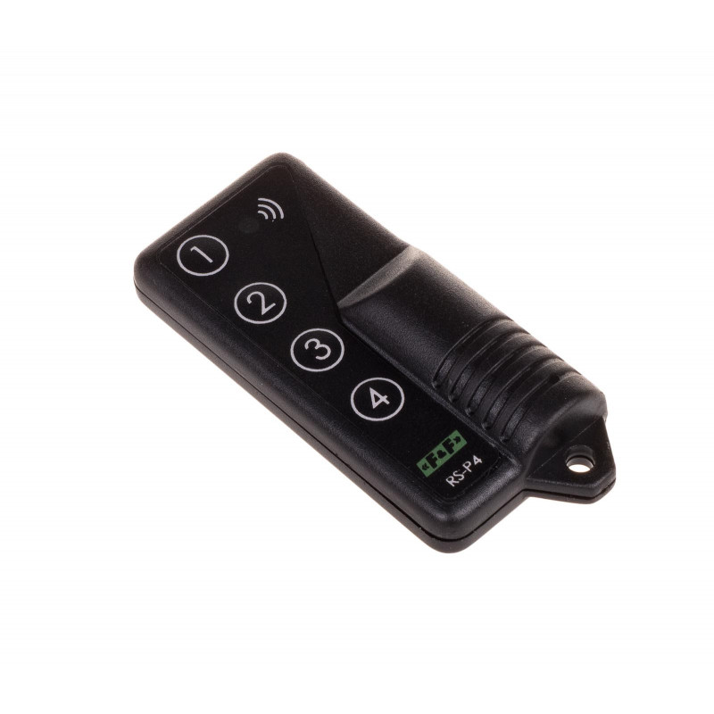 ford rs remote control car