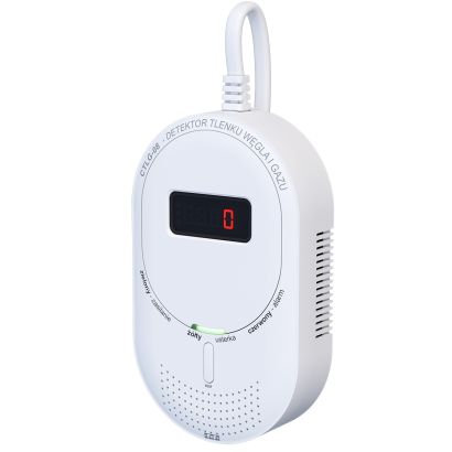 Carbon monoxide and gas...