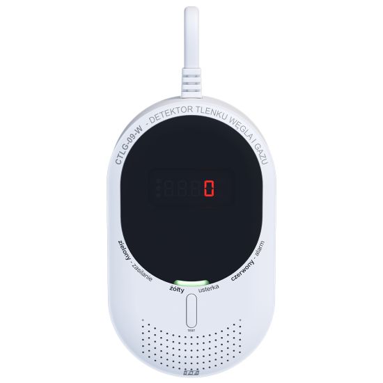Carbon monoxide and gas detector CTLG-09-W