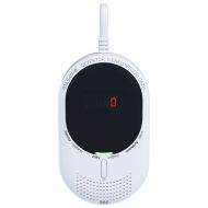 Carbon monoxide and gas detector CTLG-09-W