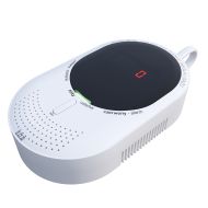 Carbon monoxide and gas detector CTLG-09-W