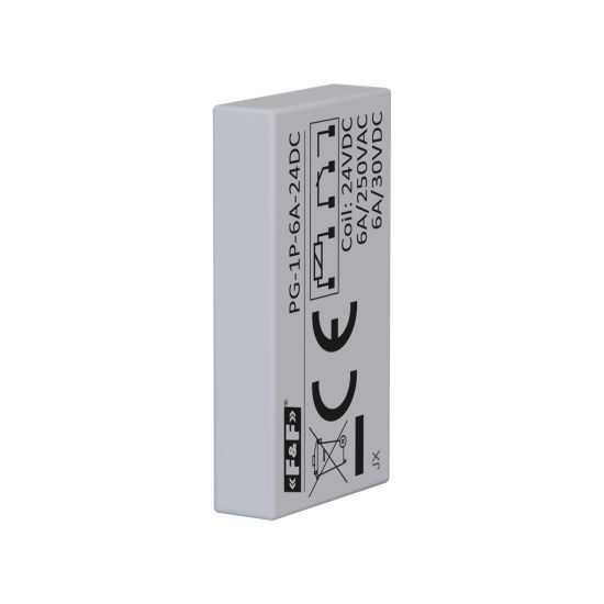 PG-1P-6A-24DC interface relay