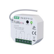 Relai multifungsi radio FW-R1P-P-12